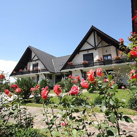 Complex Vile- Milana M Residence Poiana Brasov Bagian luar foto