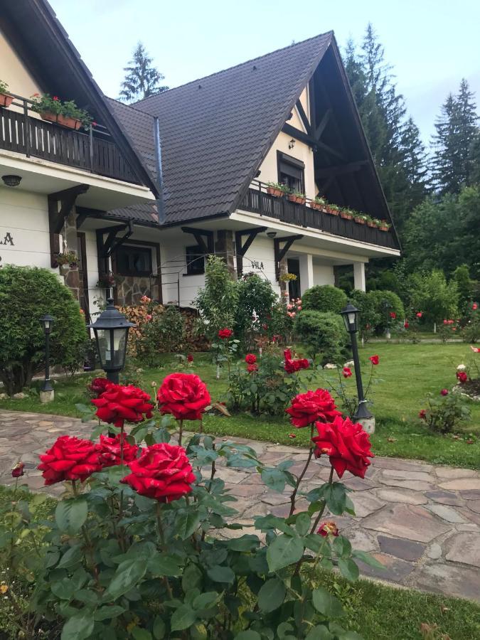 Complex Vile- Milana M Residence Poiana Brasov Bagian luar foto